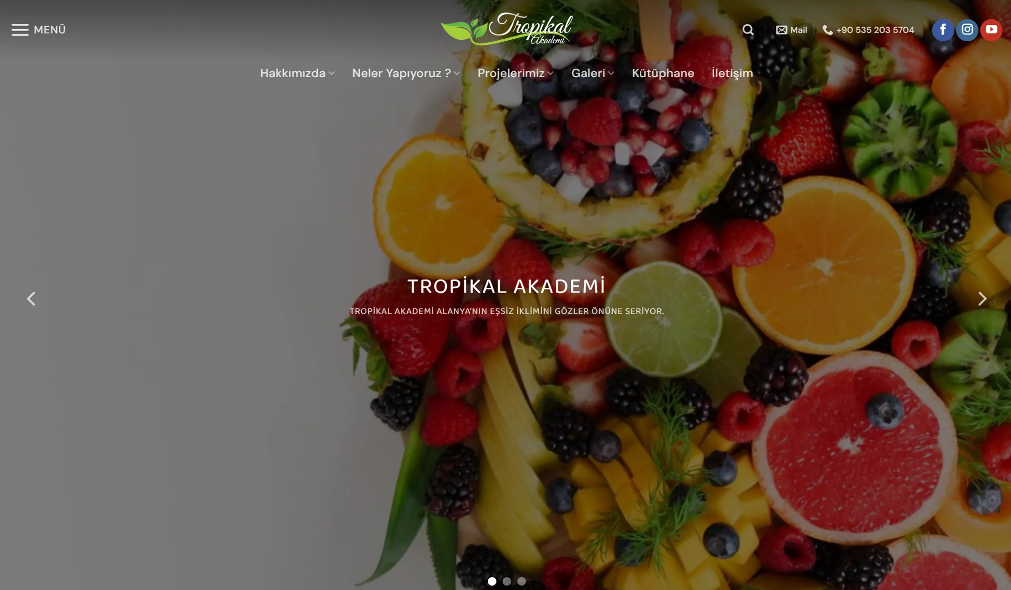 Tropikal Akademi - S Plus Web referansı